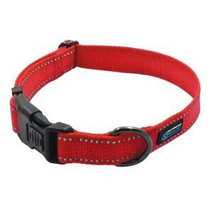 Matching Reflective Collar & 6-ft Leash, Medium